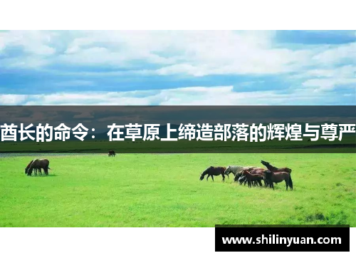 酋长的命令：在草原上缔造部落的辉煌与尊严