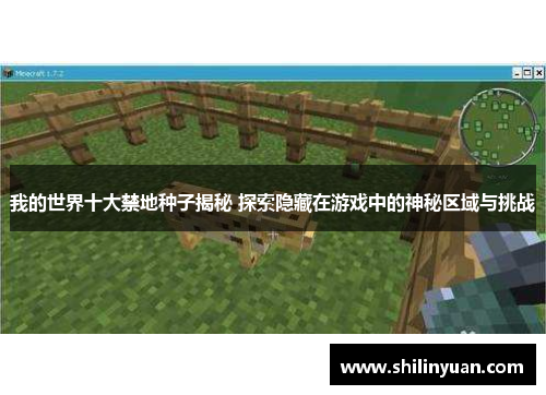 我的世界十大禁地种子揭秘 探索隐藏在游戏中的神秘区域与挑战