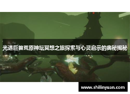 光遇巨兽荒原神坛冥想之旅探索与心灵启示的奥秘揭秘