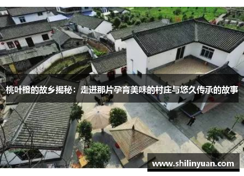 桃叶橙的故乡揭秘：走进那片孕育美味的村庄与悠久传承的故事